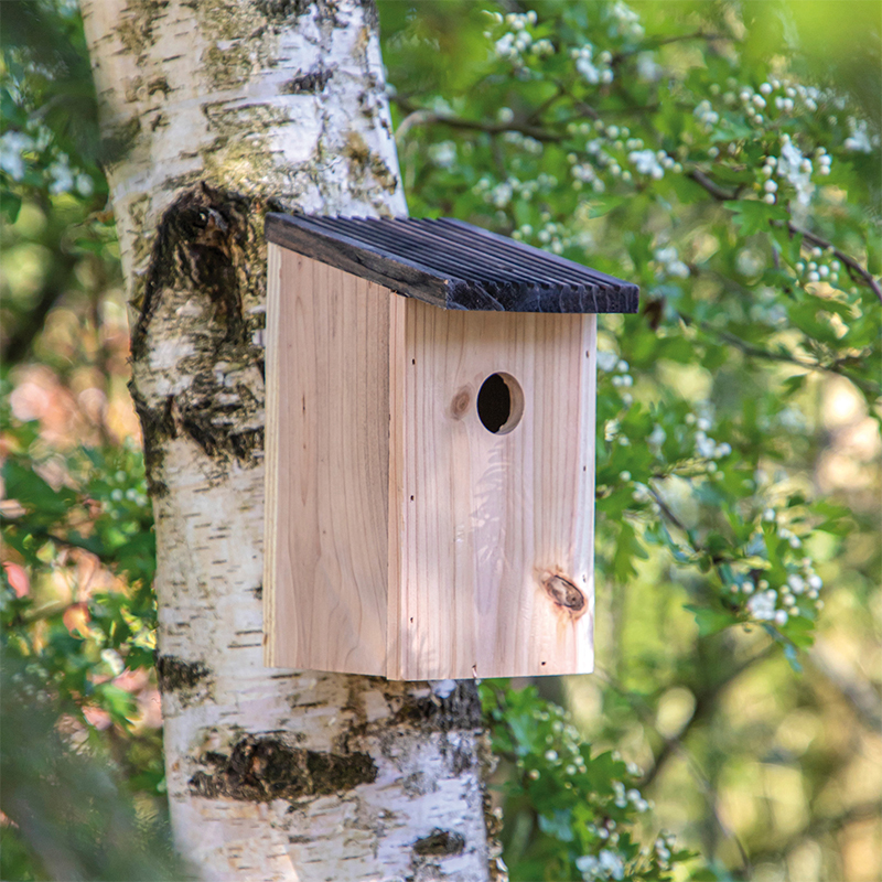 Maison pour oiseaux éco en bois - image 5